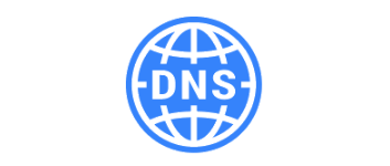 DNSDataView