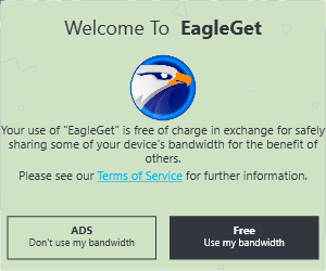 EagleGet