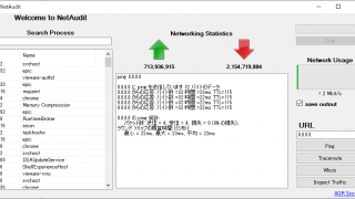 NetAudit