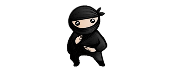 System Ninja