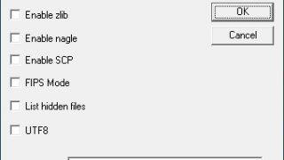 Core FTP mini-sftp-server