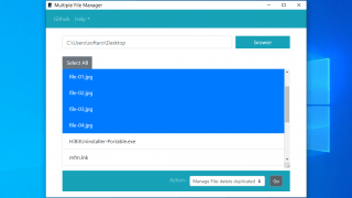 Multiple File Manager