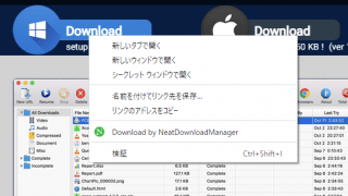 Neat Download Manager