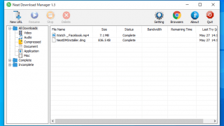 Neat Download Manager