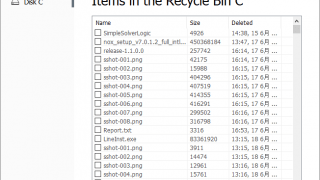 Auto Recycle Bin