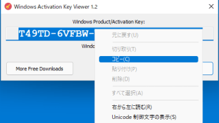 Windows Activation Key Viewer