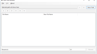 Bulk Files Renamer