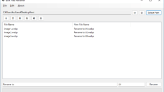 Bulk Files Renamer