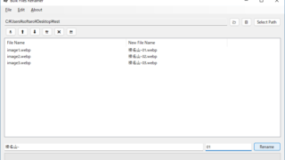 Bulk Files Renamer