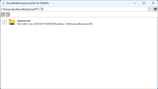 ShowWhatProcessLocksFile