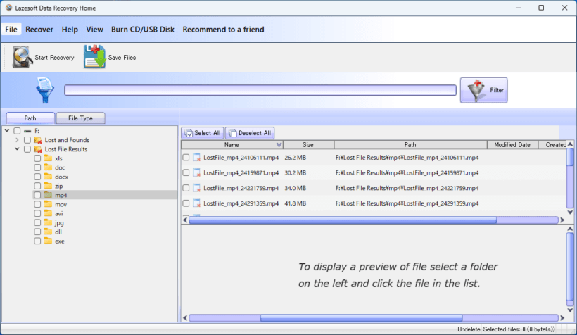 Lazesoft Data Recovery Home