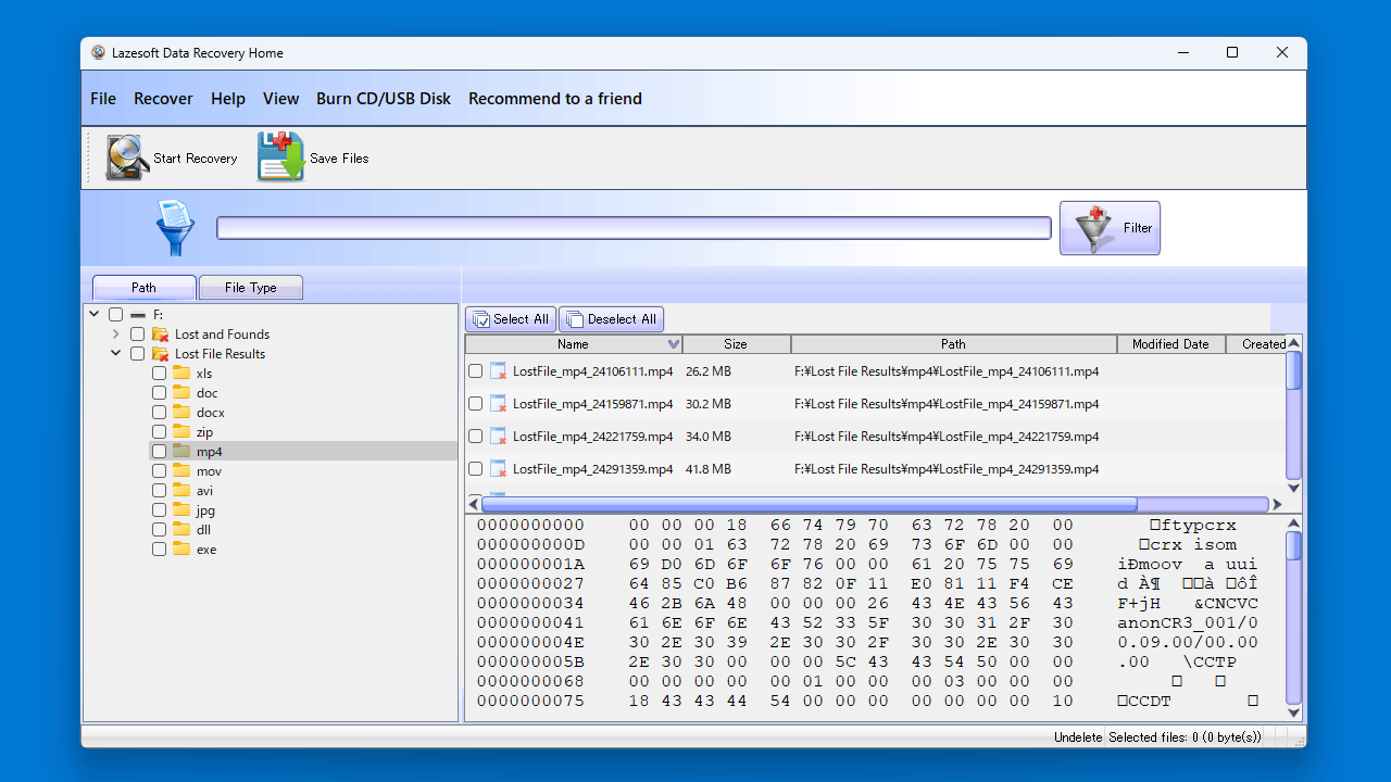 Lazesoft Data Recovery Home