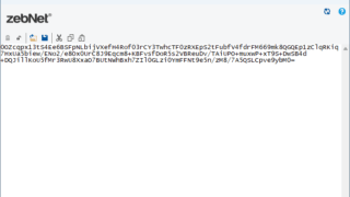 zebNet Secure Text