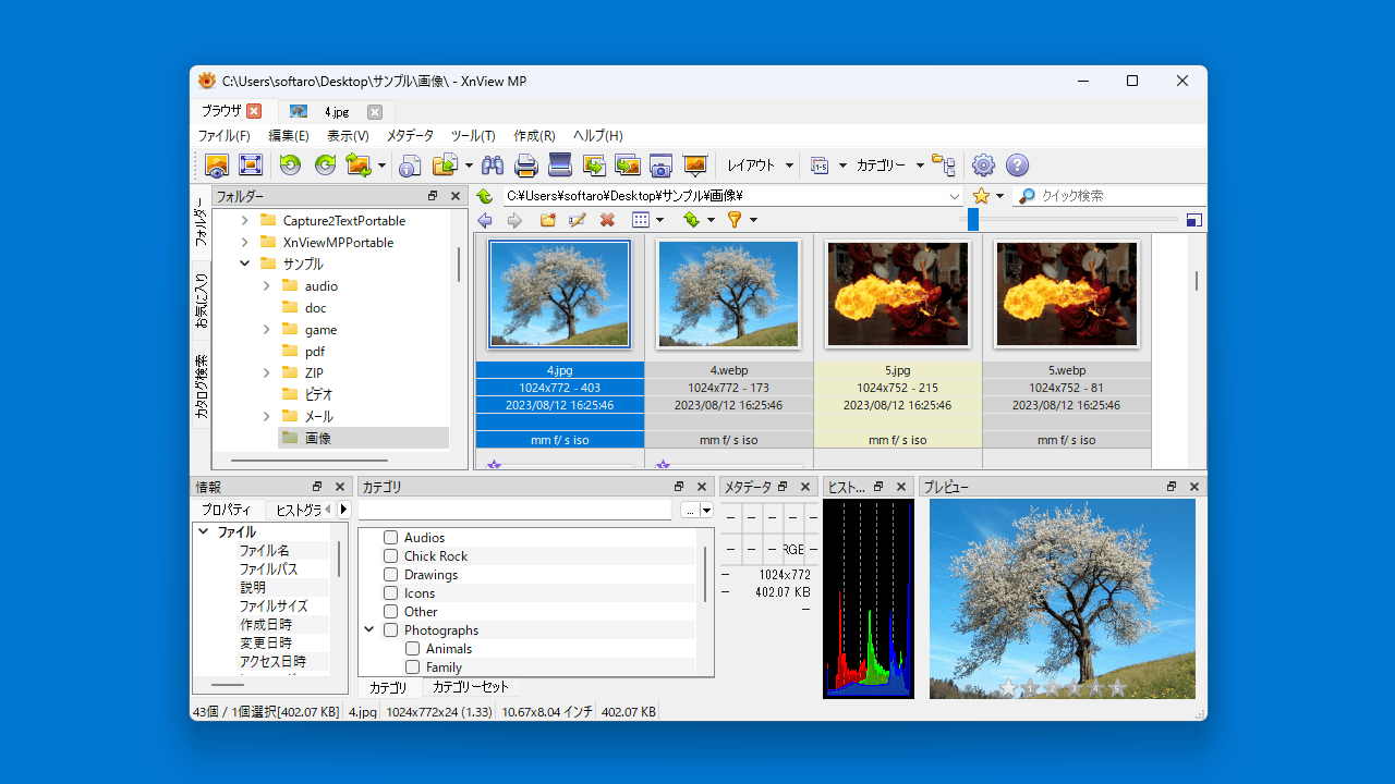 XnView MP Portable