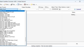 Batch Subtitles Converter