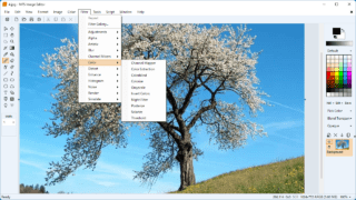 NPS Image Editor