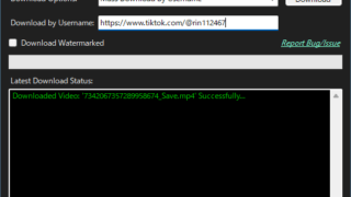 TikTok Downloader
