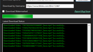 TikTok Downloader