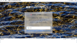 Secret Video Downloader
