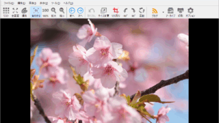 FocusOn Image Viewer