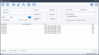 Batch Rename Tool