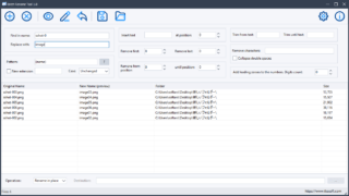 Batch Rename Tool