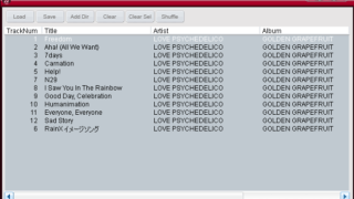 BriskPlayer