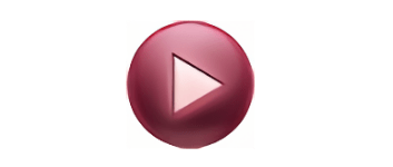 BriskPlayer