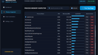 MemFlow Pro