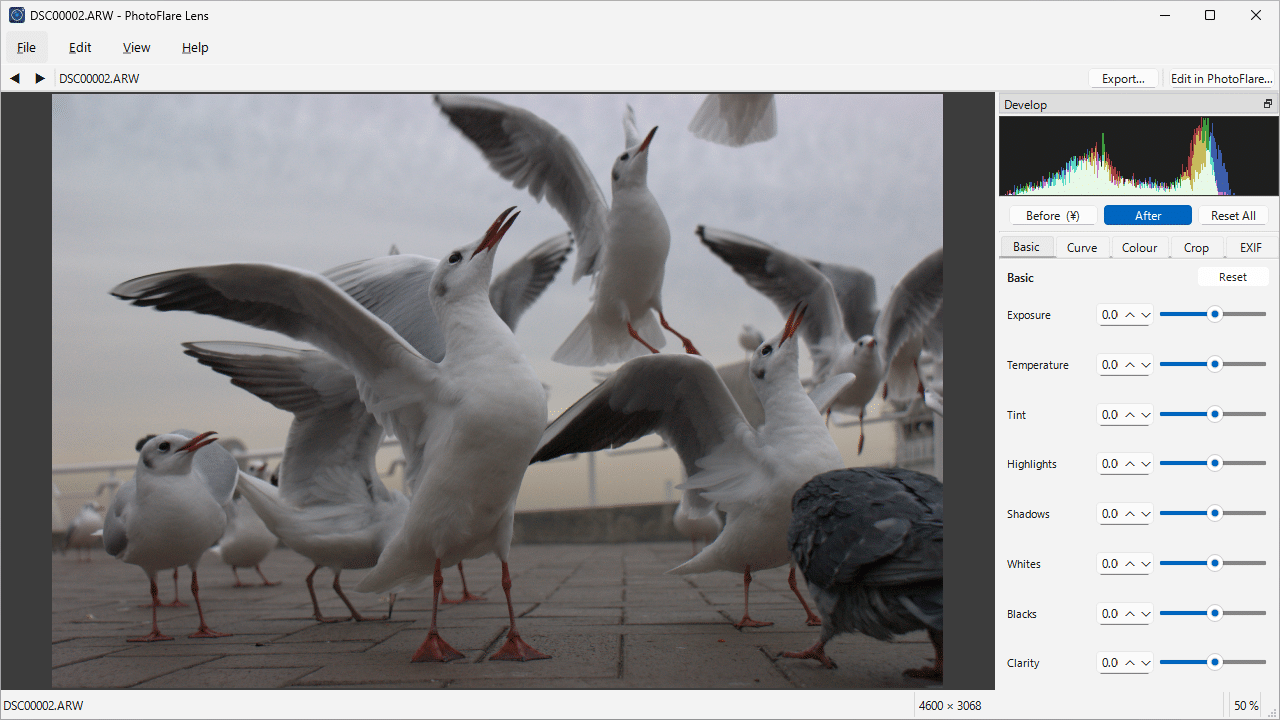 Photoflare Lens