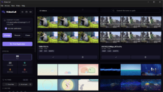 VideoCull